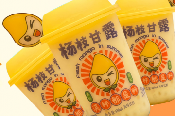 广东省化州市维宝食品有限公司