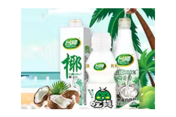 广东台椰食品有限公司