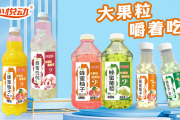 安庆市佳美饮料有限公司