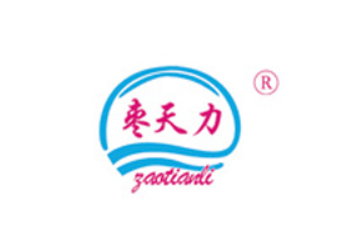 山东天力集团有限公司