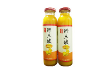 印象西口天津农业科技有限公司