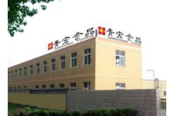 青岛青宏食品有限公司