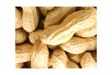 山东真香食品有限公司