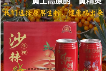 山西圣益饮料有限公司