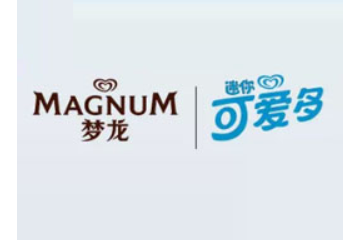 北京一商兰枫叶商业有限公司