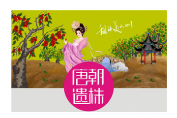 稷山县贵妇人枣业有限公司