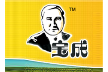 潍坊宝成食品有限公司