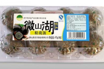 微山县天天食品有限公司