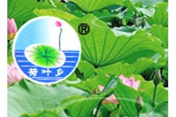 山东省枣庄市荷叶香清真食品有限公司