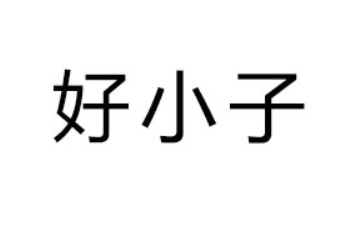 吉林市好小子食品有限责任公司