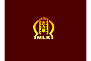 山东大三元食品有限公司