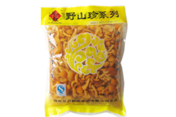 日月新天食品有限公司