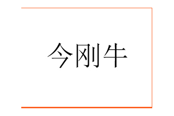 河北今刚牛饮品有限公司