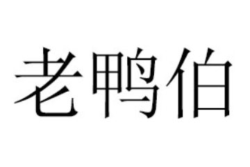 沈阳市老鸭伯餐饮管理有限公司