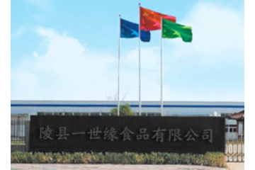 陵县一世缘食品有限公司