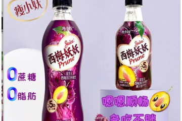 上海瘦小妖生物科技有限公司