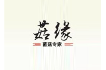 高密净源食品有限公司