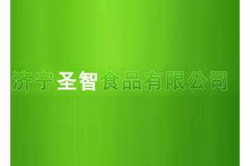 济宁圣智食品有限公司