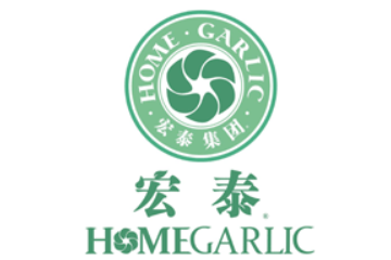 山东金乡宏泰集团