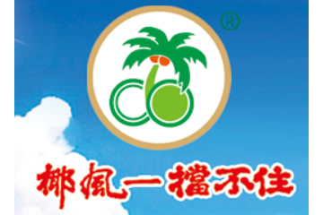 椰风集团（德州）食品有限公司
