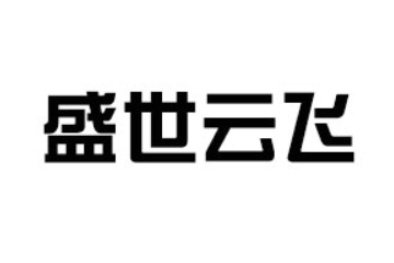济南盛世云飞商贸有限公司