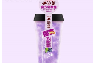 上海智胜食品有限公司