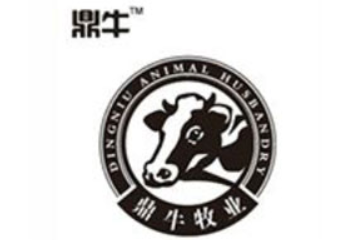 山东京翰商务科技有限公司