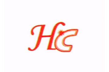 山东华灿食品有限公司