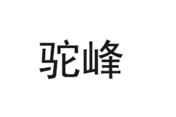 山东驼峰轻工股份有限公司