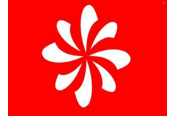 山东聚米电子商务有限公司