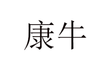 临沂康牛食品有限公司