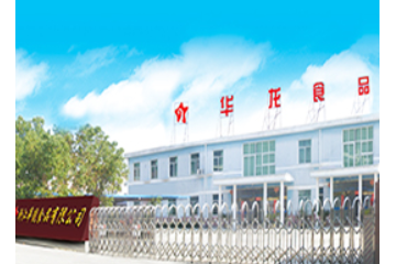 浙江华龙食品有限公司