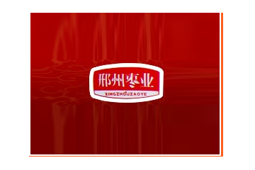 河北邢州枣业有限公司