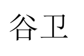 山东谷卫食品科技有限公司