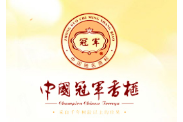 冠军集团有限公司