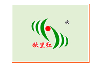 黄骅市孔店冬枣开发有限公司