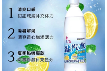 阜阳市三丰食品有限公司