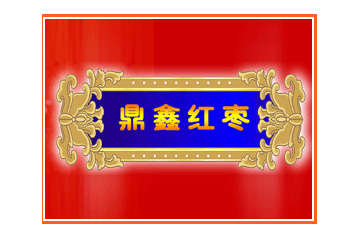 沧州鼎鑫食品有限公司