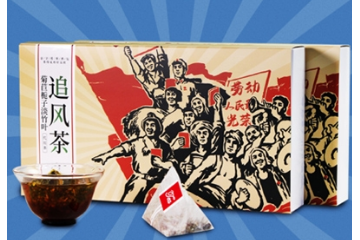 安徽亘辰大健康产业有限公司