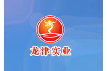江西龙津实业有限公司