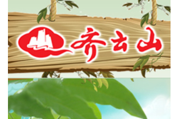 江西齐云山食品有限公司