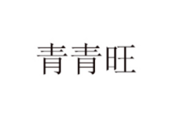 长葛市亚青食品厂