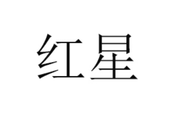 濮阳县红星食品有限公司