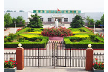 登封市小苍娃农副产品有限公司