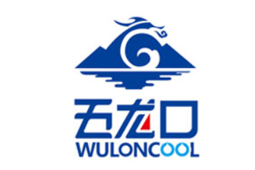 河南龙口饮品有限公司