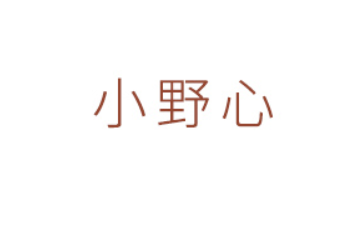 湖南小野心食品有限公司