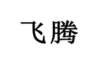 湖南省飞腾食品有限公司