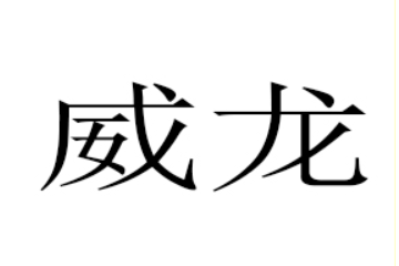 双峰县威龙食品有限责任公司