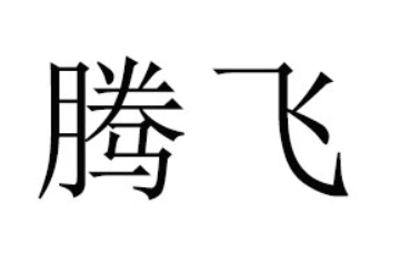 郴州市腾飞食品饮料厂