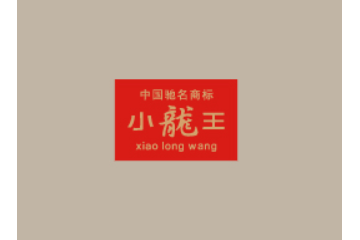 湖南小龙王食品有限公司